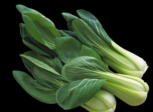不合格食品風(fēng)險(xiǎn)控制，快速檢測儀器可檢農(nóng)藥殘留超標(biāo)