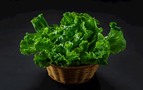 農(nóng)殘儀器：全自動(dòng)農(nóng)藥殘留物檢測儀/多功能食品安全檢測儀/農(nóng)藥殘留快速檢測儀